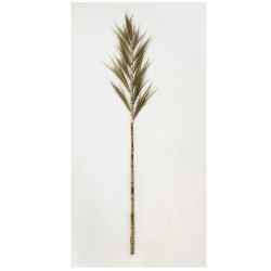Тревен клас-Grass Leaf on Stick 150см