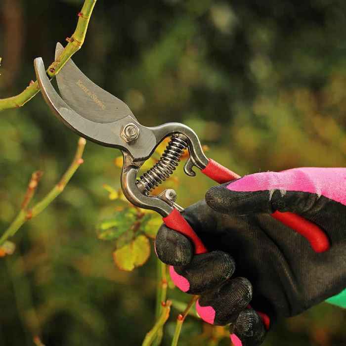 Традиционни градинарски ножици-qiU6f.jpeg
