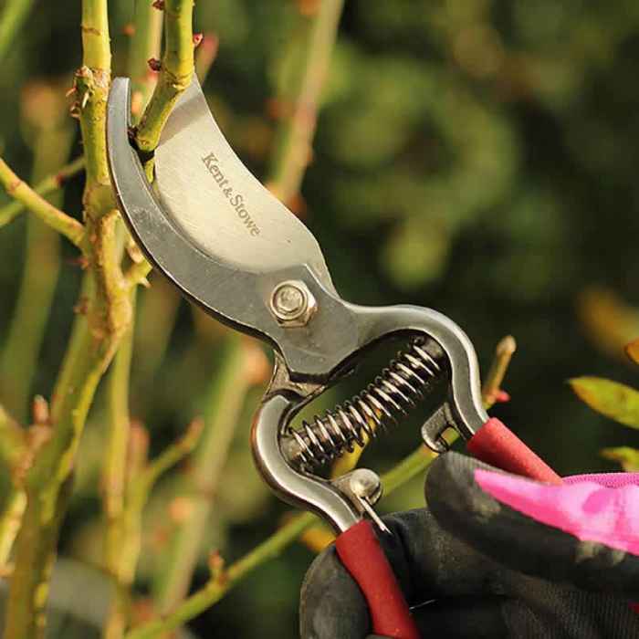 Традиционни градинарски ножици-rTu36.jpeg