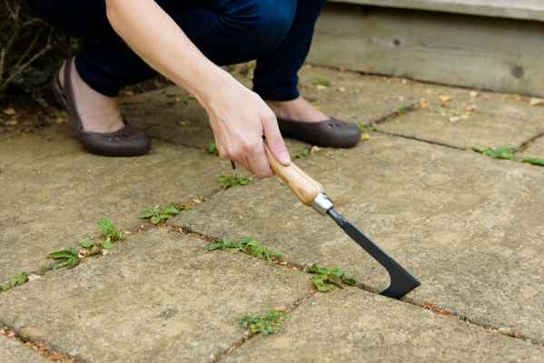 Нож за плевене Kent&Stowe